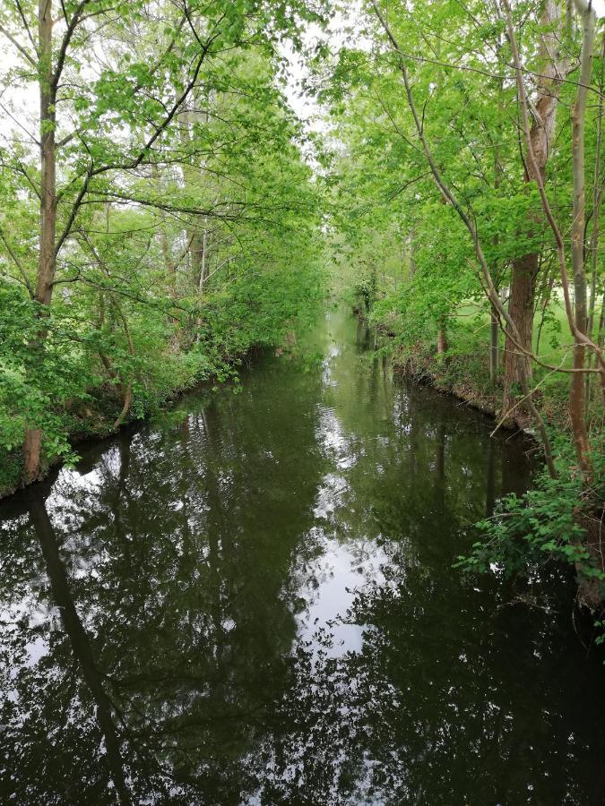 فندق Am Waldrand Spreewald بورغ المظهر الخارجي الصورة