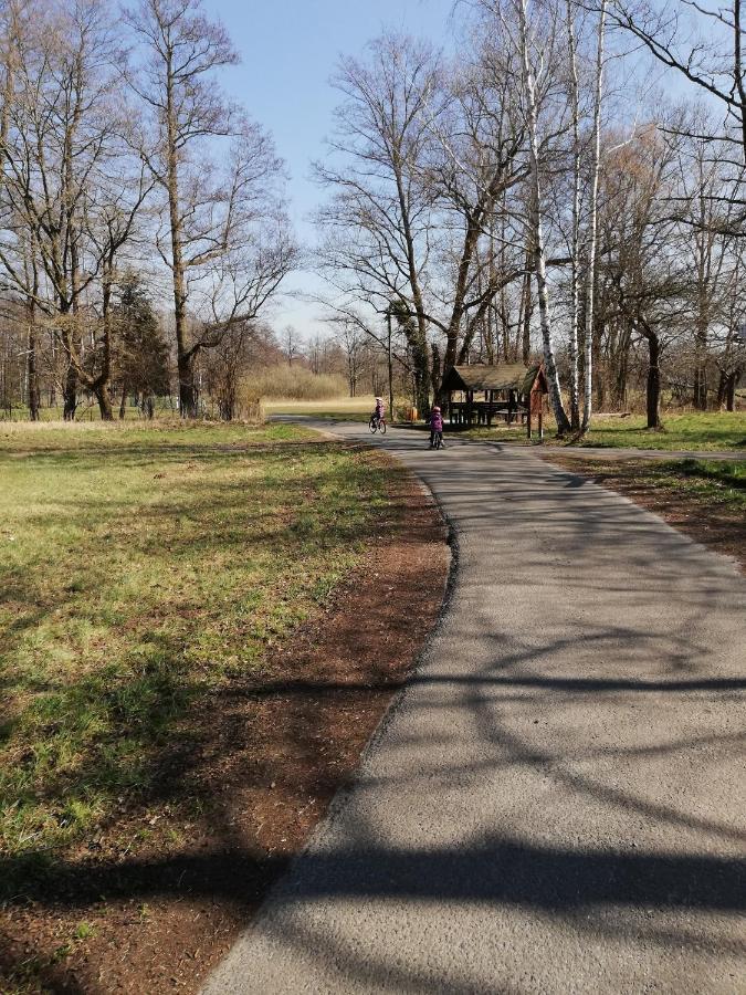 فندق Am Waldrand Spreewald بورغ المظهر الخارجي الصورة