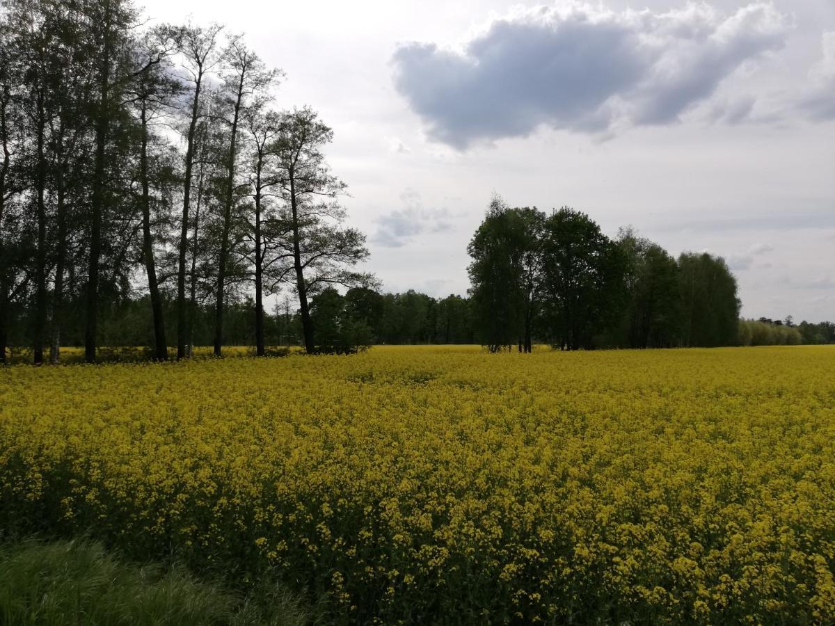 فندق Am Waldrand Spreewald بورغ المظهر الخارجي الصورة