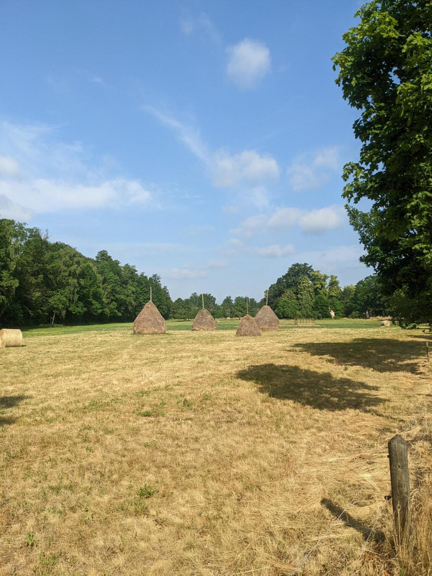 فندق Am Waldrand Spreewald بورغ المظهر الخارجي الصورة